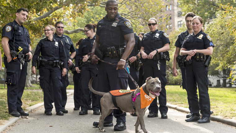 Jamie's day out with the NYPD was to help her find a home.