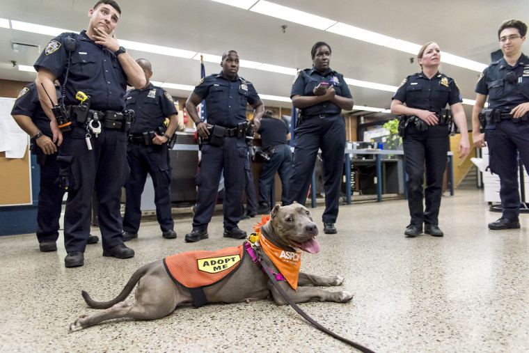 Jamie hanging out with her police officer friends.