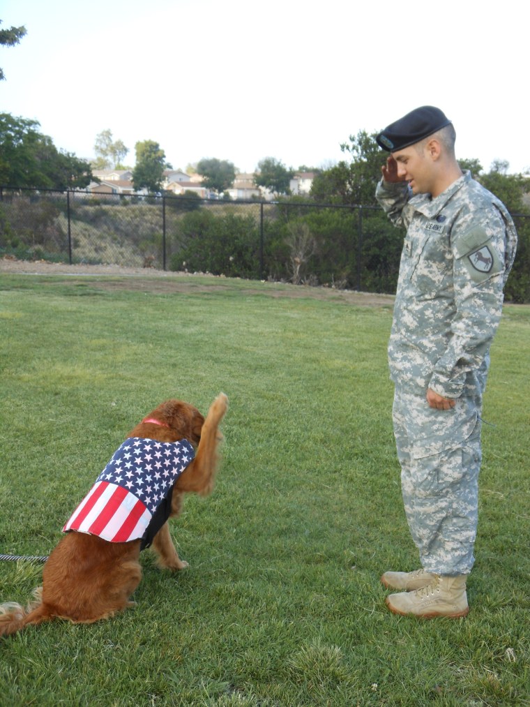 Ricochet therapy dog with retired Staff Sgt. Randall Dexter