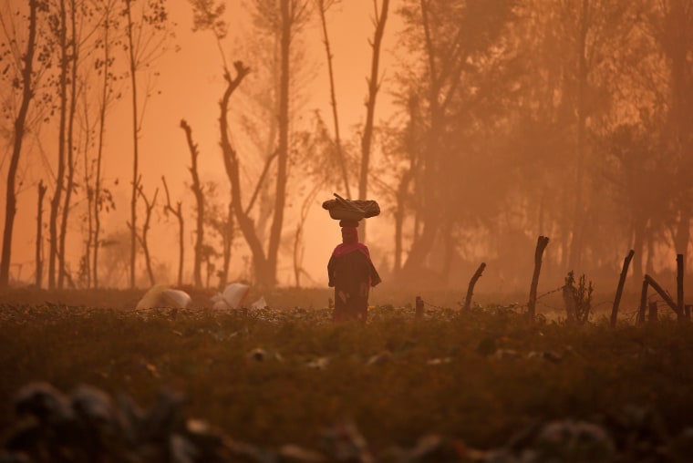 Image: A woman carries a basket on her head through a field of vegetables on a foggy morning on the outskirts of Srinagar