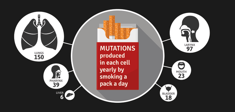 Image: Mutations produced by smoking