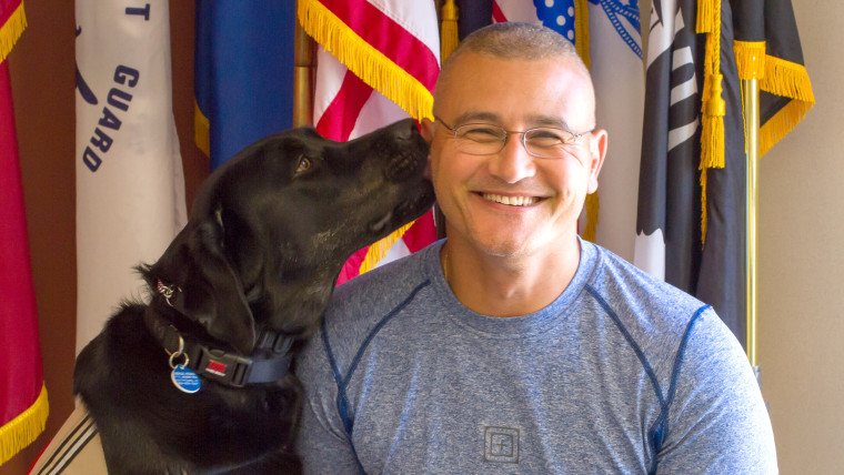Service dogs help veterans deal with PTSD.