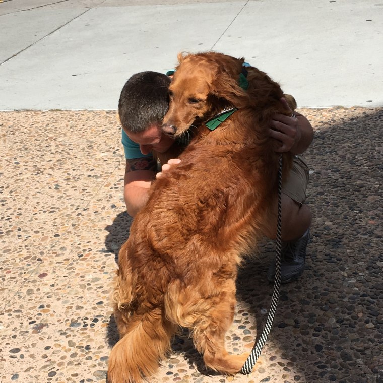 Ricochet the surfing dog also gives hugs
