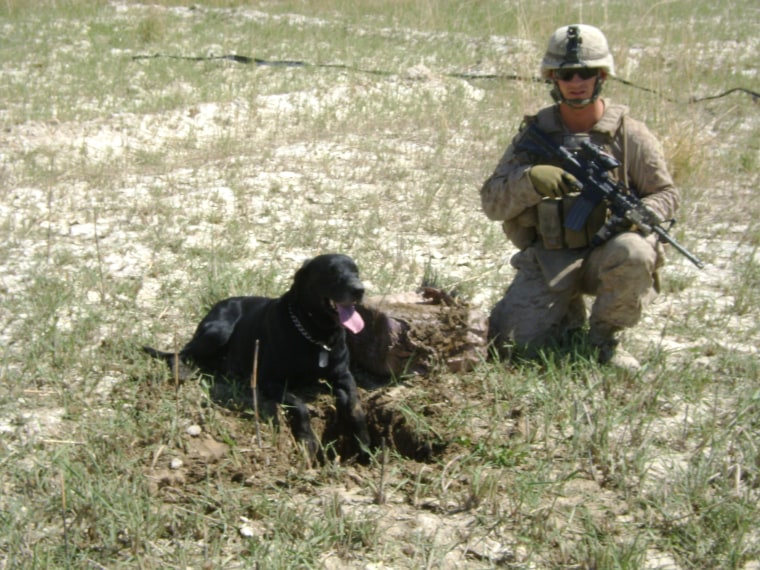 U.S. Marine Corporal Matt Hatala and his bomb-sniffing dog Chaney in Afghanistan in 2011.