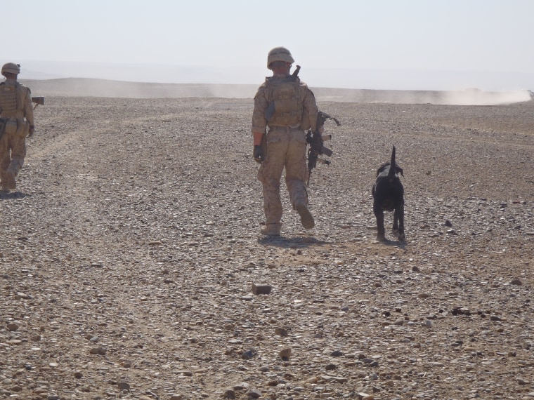 U.S. Marine Corporal Matt Hatala and Chaney the dog in Afghanistan