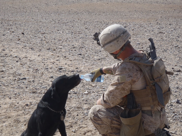 Matt Hatala gives Chaney the dog some water to drink during a 7-mile patrol in Afghanistan in 2011.