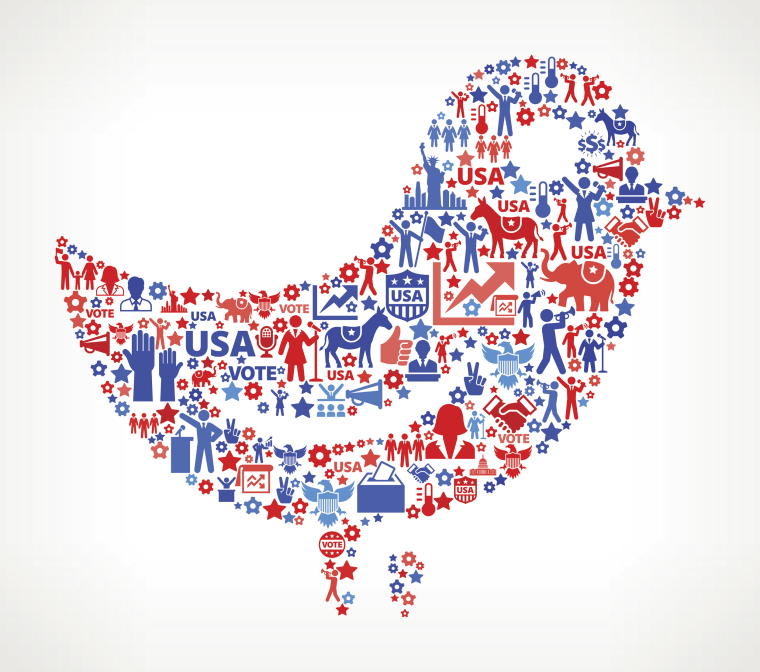 Image: Twitter icon with an election themed design