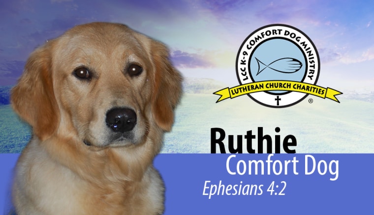 Ruthie the comfort dog's business card