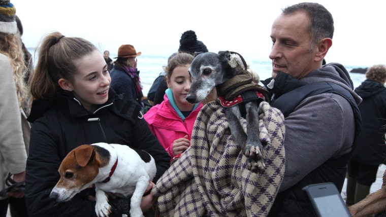 Mark Woods kisses holds dog Walnut before taking him to Porth beach for a final walk