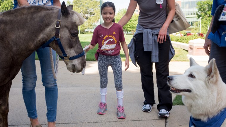 Petie at Akron Children's Hospital 