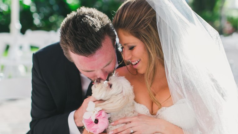 Dog at wedding