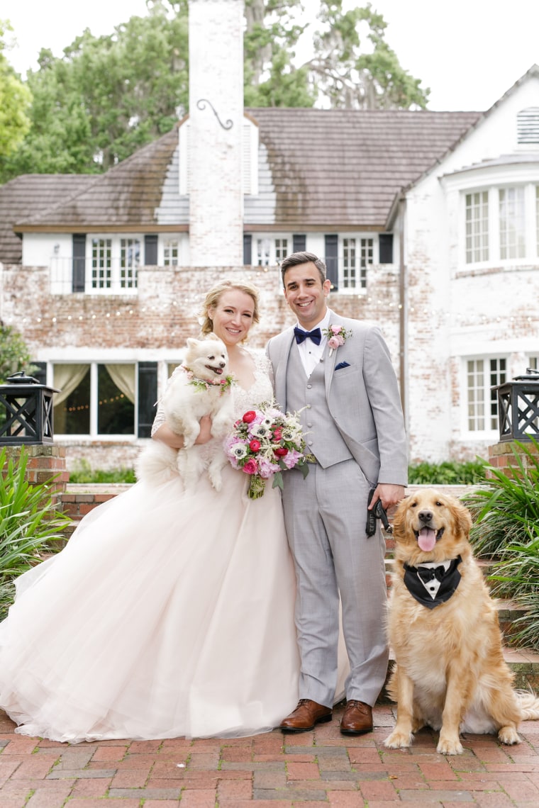 Dog at wedding