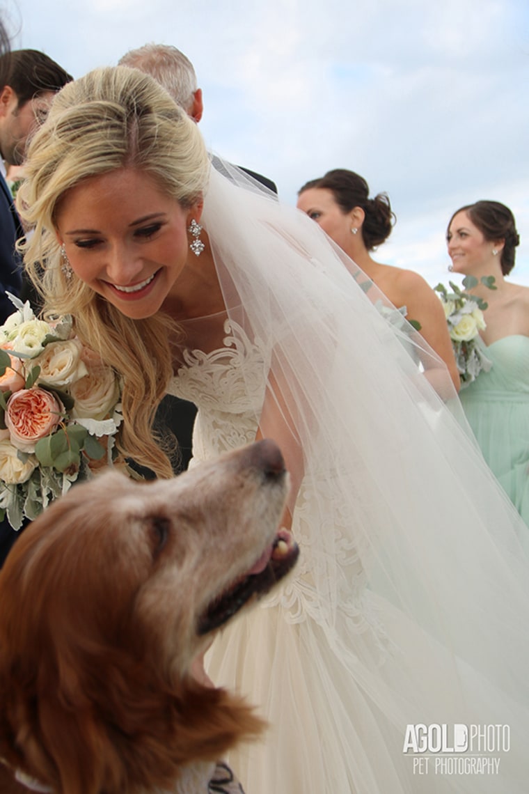 Dogs at weddings