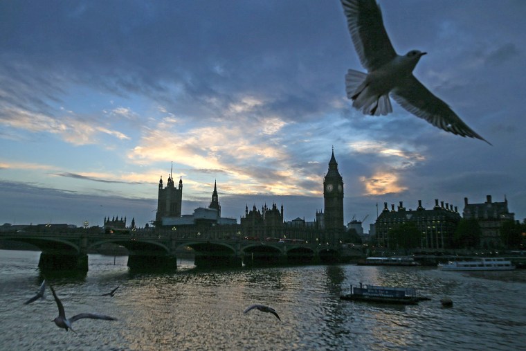 Image: Gulls fly over the River Thames