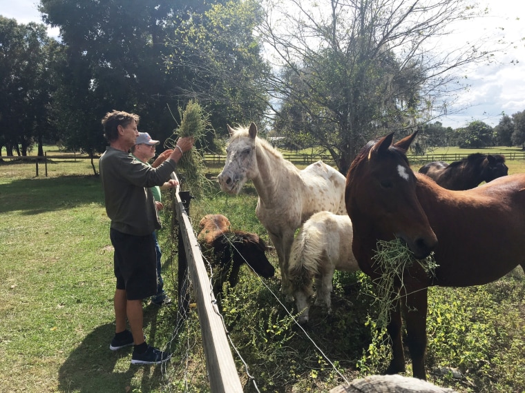 veterans and animals, animal-assisted therapy, Circle of Veterans, veterans and PTSD