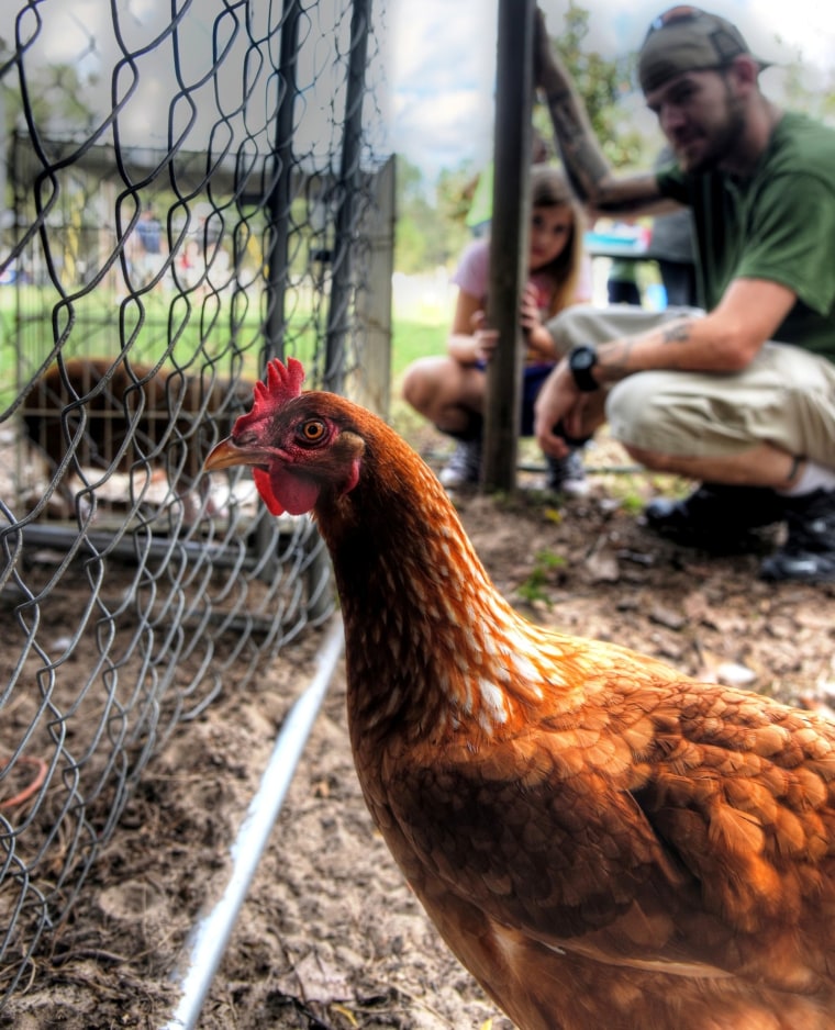 veterans and animals, veterans and PTSD, Circle V Ranch, Tice Ridley