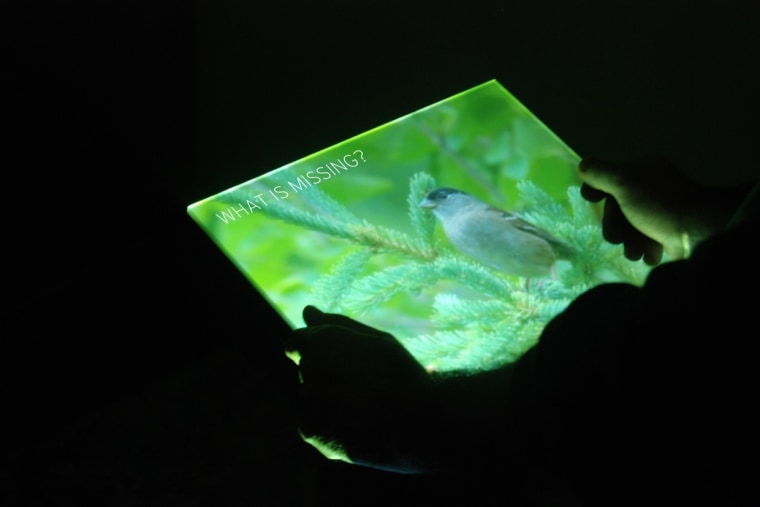 "What is Missing? The Empty Room", 2009, BeijingCenter for the Arts, Beijing, China