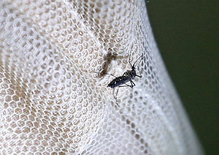 Image: First case of Zika in Myanmar