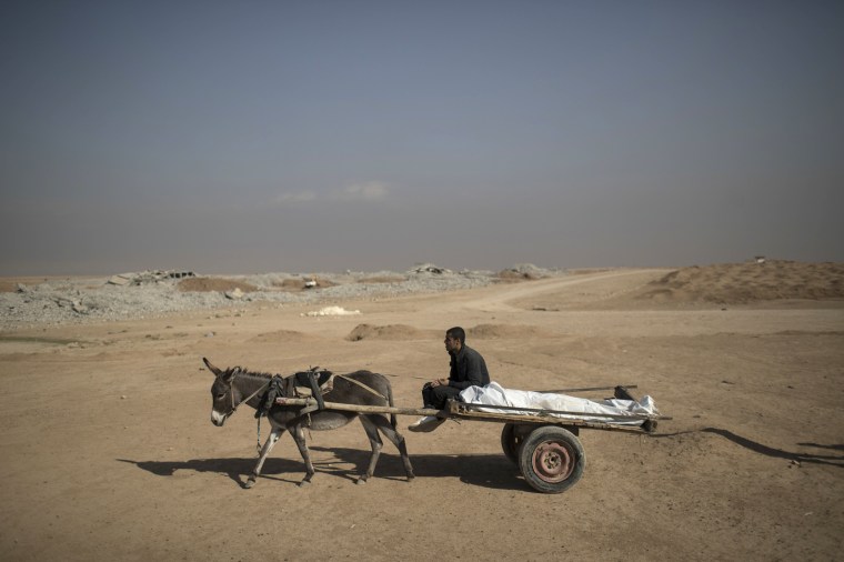 Image: The body of 19-year-old Berzan Ibrahim Khelil, who was killed by a mortar during fighting between the Iraqi forces and Islamic State militants is carried to a cemetery on a cart by his cousin in Mosu