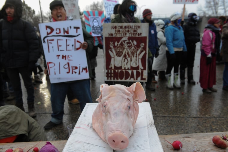 Image: Protesters in North Dakota