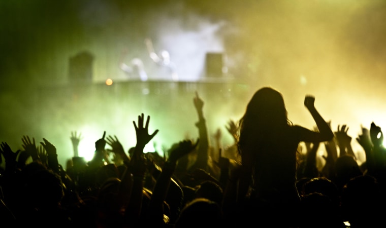 Image: Crowd dancing at a music festival