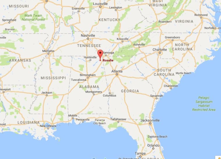 Image: Map showing Rosalie, Alabama.