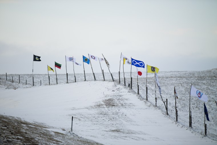 Image: Dakota pipeline protests