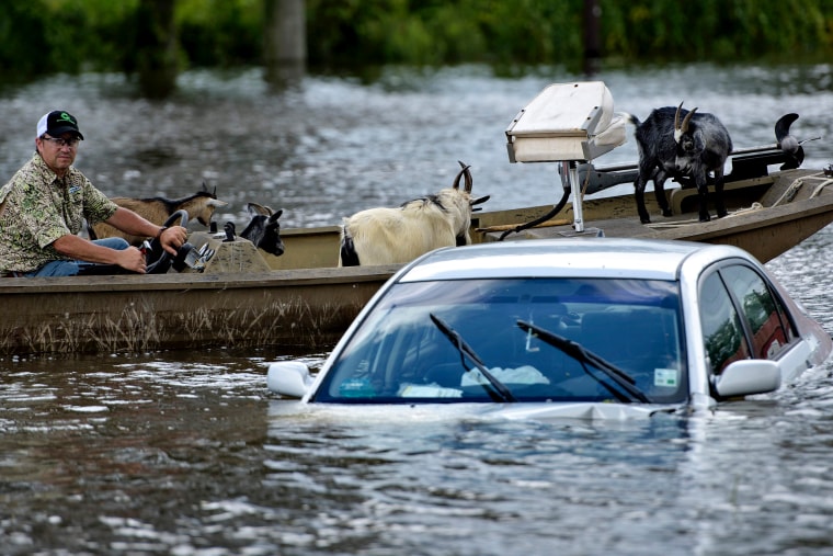 Image: Louisiana flooding