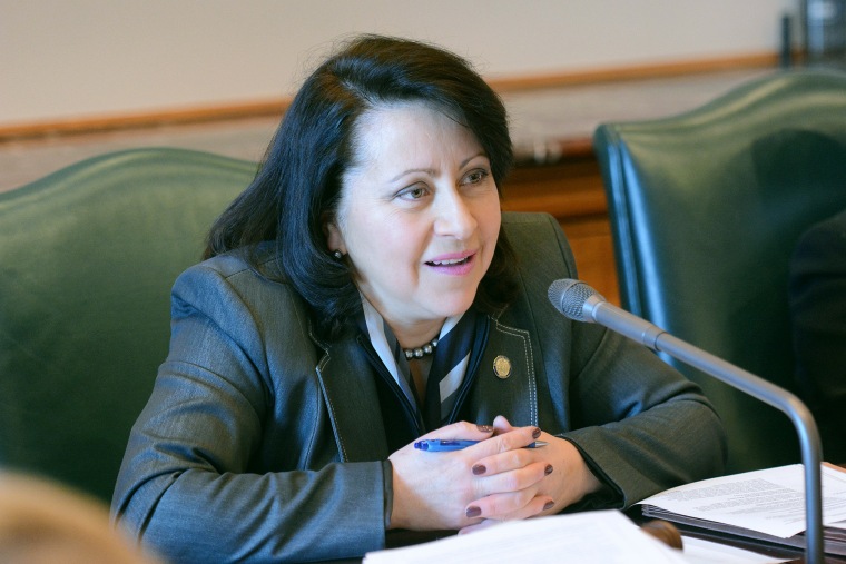 Minnesota State Senator Patricia Torres Ray (D-63)