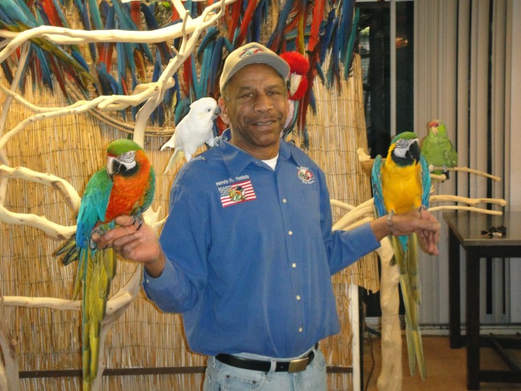 Parrots for Patriots