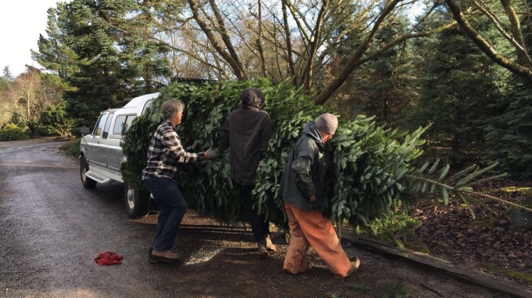 Walters Family Giant Christmas Tree