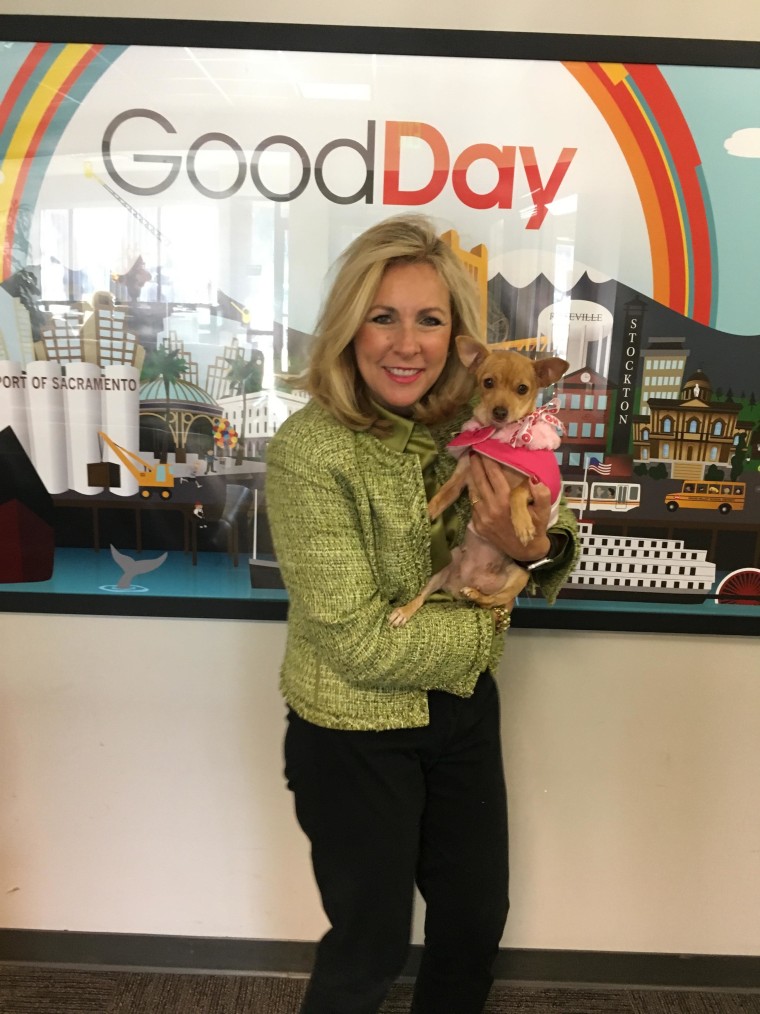 It was love at first sight when Kim Pacini-Hauch met Mindy while filming a TV spot to promote "Home for the Pawlidays."