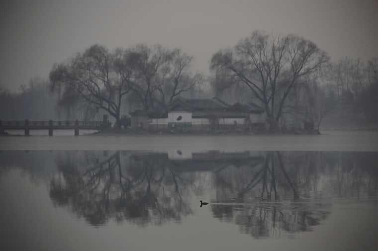Image: A duck is seen at the Old Summer Palace in smog as a red alert issued for air pollution in Beijing
