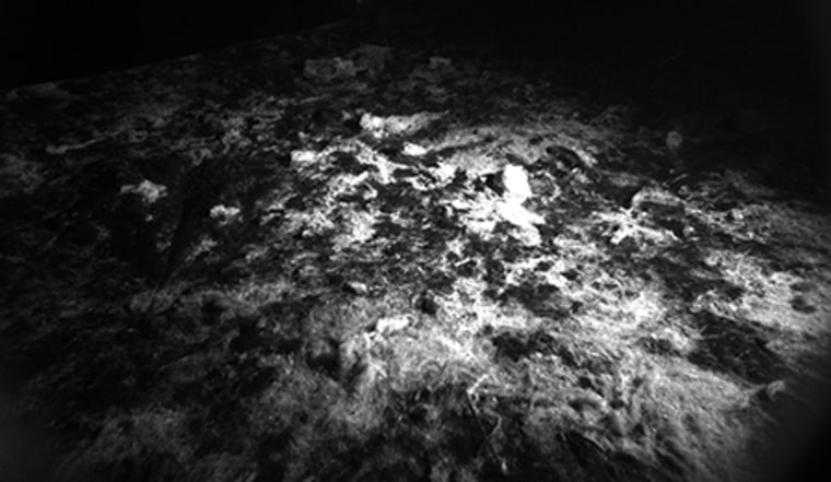 The Benthic Rover's fluorescence imaging system highlights chlorophyll-rich marine snow, which glows under the rover's special lights.