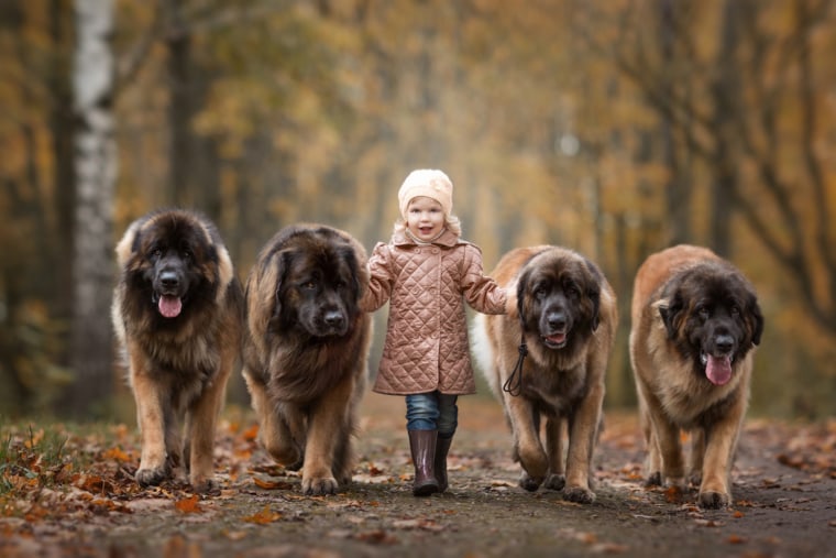 Little Kids and Their Big Dogs