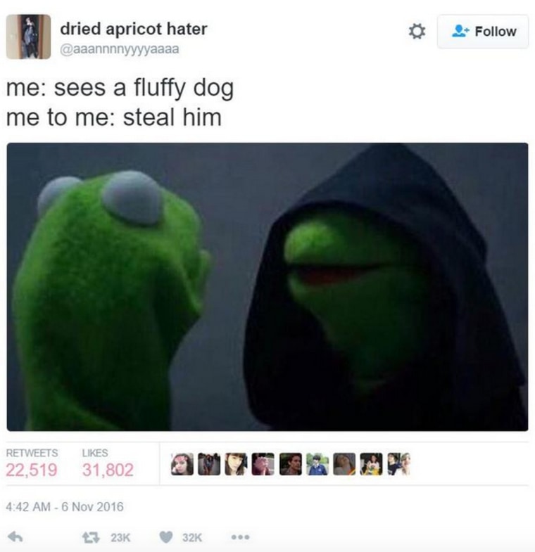 Evil Kermit