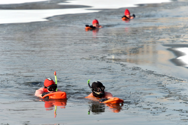 Image: Walruses defy cold weather