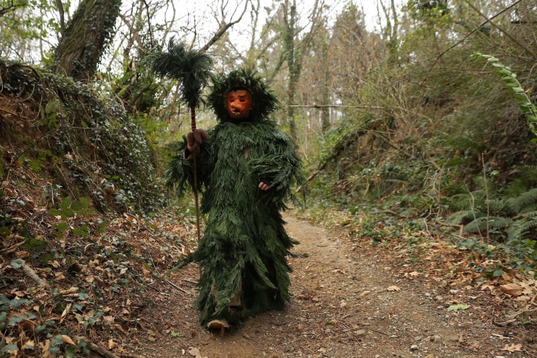 Image: TOPSHOT-SPAIN-CARNIVAL-NATURE-VIJANERA