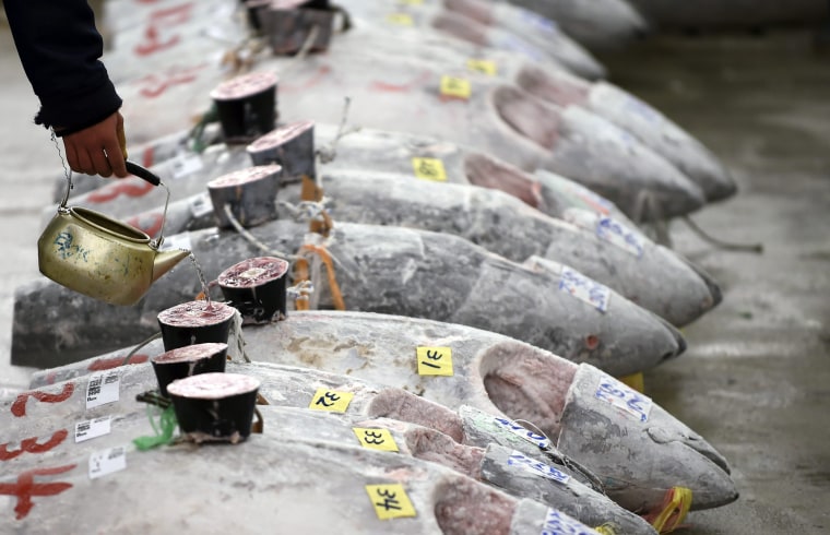 Image: First tuna auction of the year at Tsukiji fish market