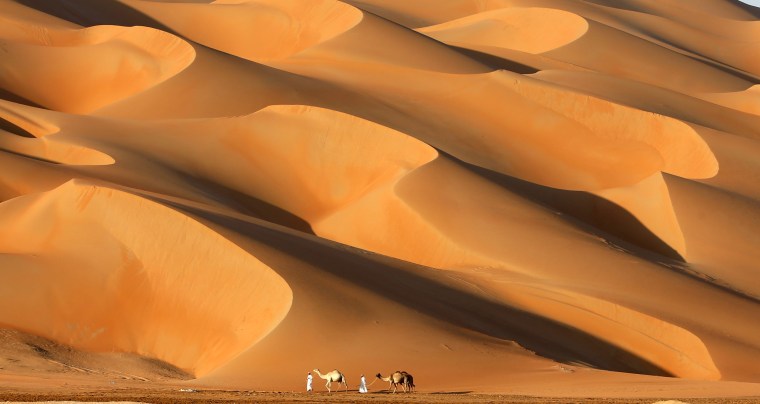 Image: UAE-NATURE-DESERT-FESTIVAL