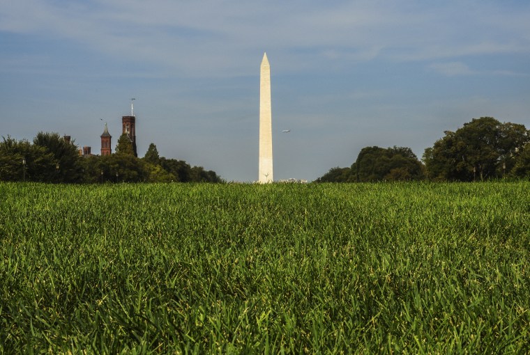 Image: Newly refurbished grass on the national Mall on Sept. 9, 2016 in Washington, D.C.