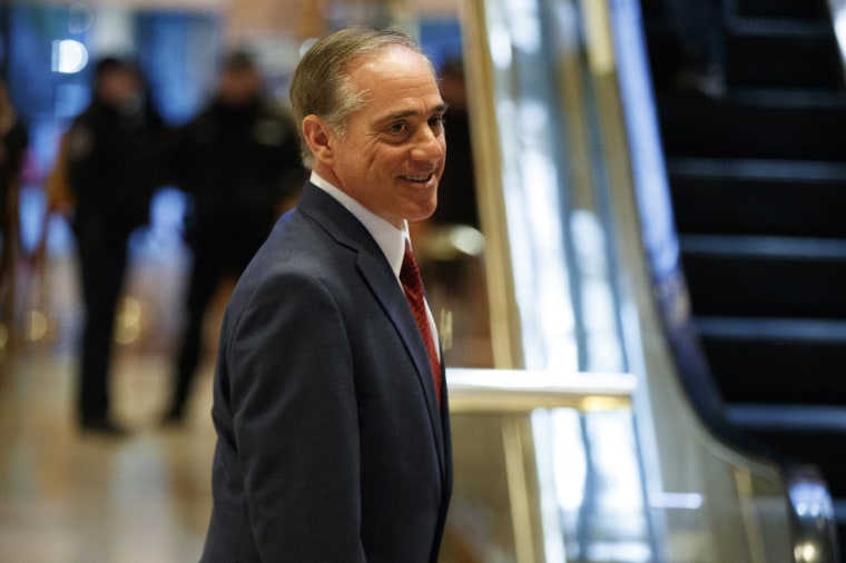 Image: David Shulkin