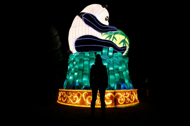 Image: A light display is illuminated during the The Magical Lantern Festival marking the Chinese new year at Chiswick House in London