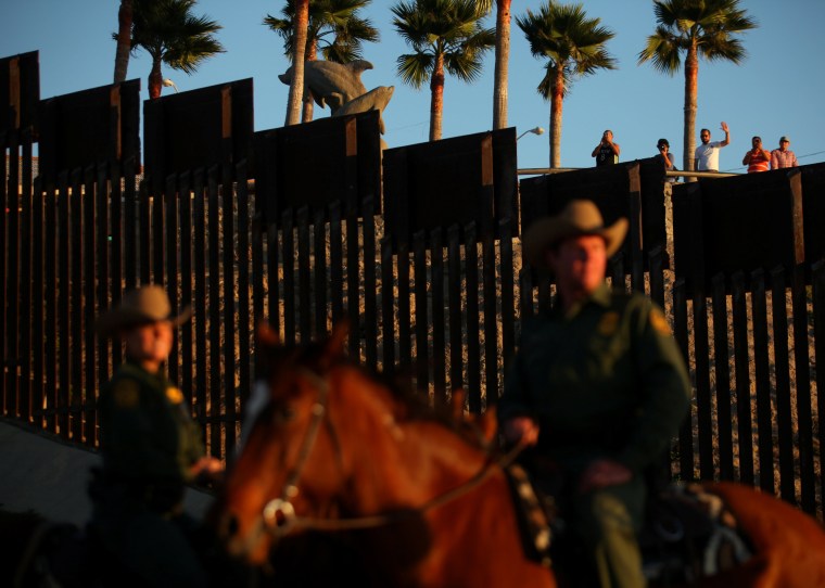 Image: The Wider Image: Wild horse border patrol