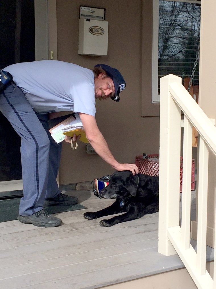 Mailman and dog become friends