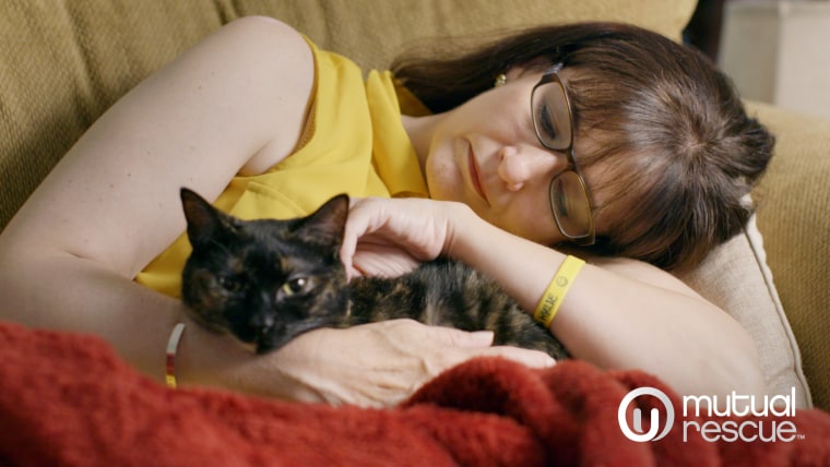 Liza the cat remains a source of comfort to Kylie's mother, Robin Myers