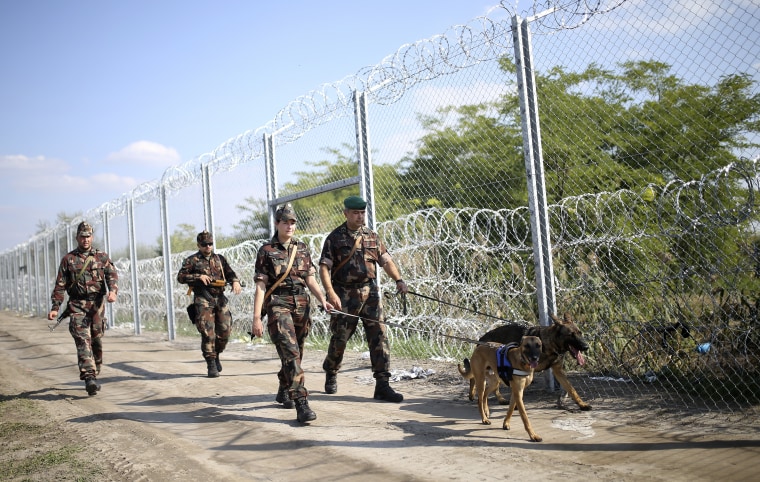 Image: Hungarian soldiers walk along a fence on the border with Serbia