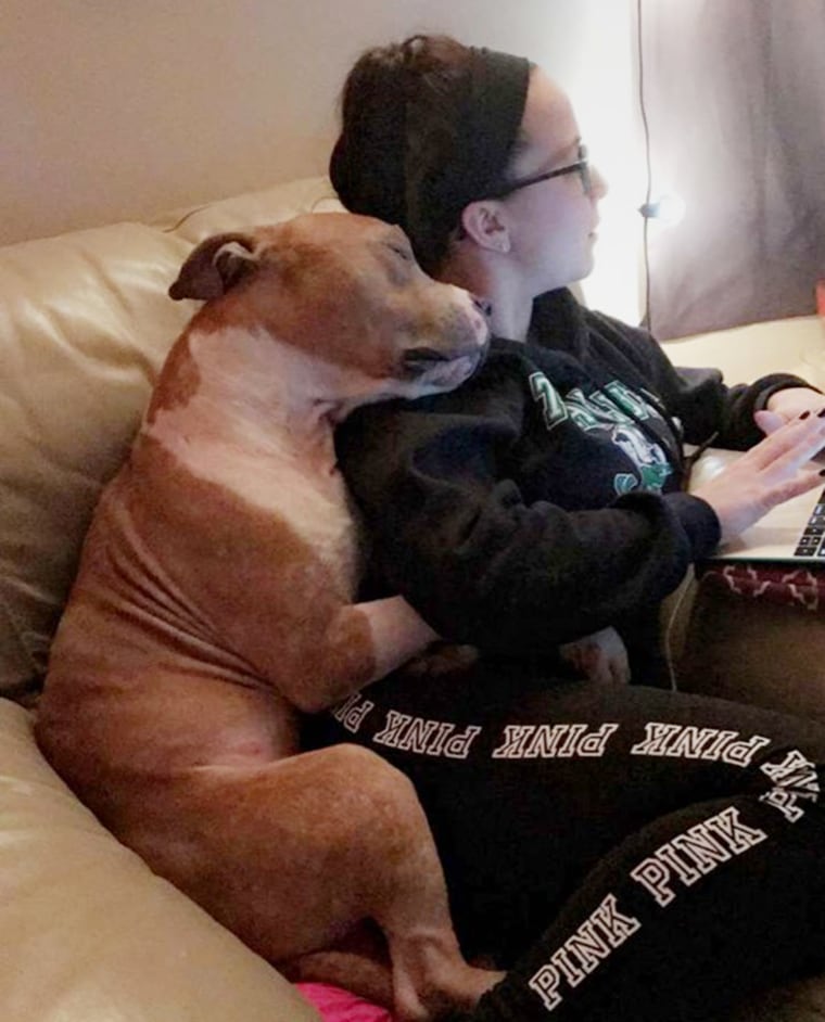 Russ the dog snuggles with his mom, college student Kayla Filoon, while she does homework.