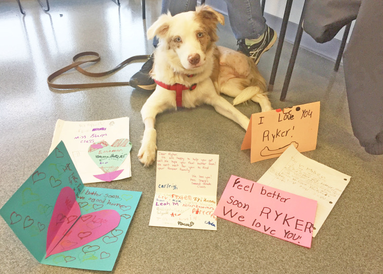 Ryker poses in front of get well cards from Trisha Sharp's second grade class.