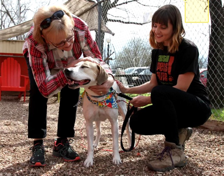 Austin Pets Alive shelter dog matchmakers works with a client